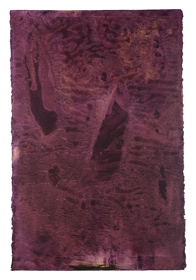 chokanary papel 12.jpg